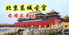 被两大鸡吧插真人无码视頻免费中国北京-东城古宫旅游风景区
